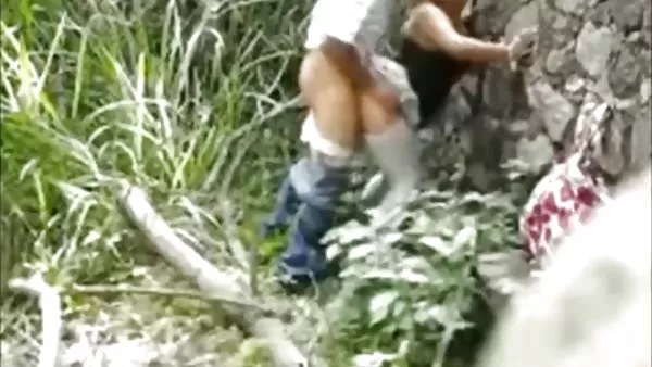 妇女具有性别与猪品裸人